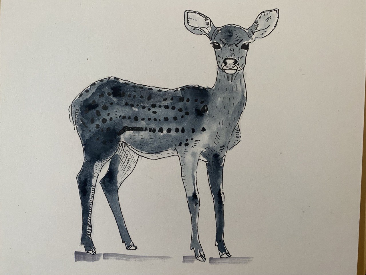 Grey Wash — fountain pen with grey soluble ink by jrajanarts, Madurai
